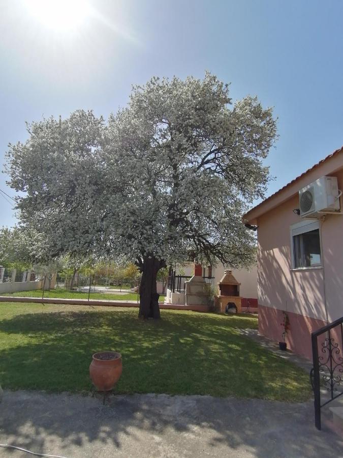 Αξέχαστη Διαμονή - Unforgettable Accommodation Nea Kallikrateia Extérieur photo